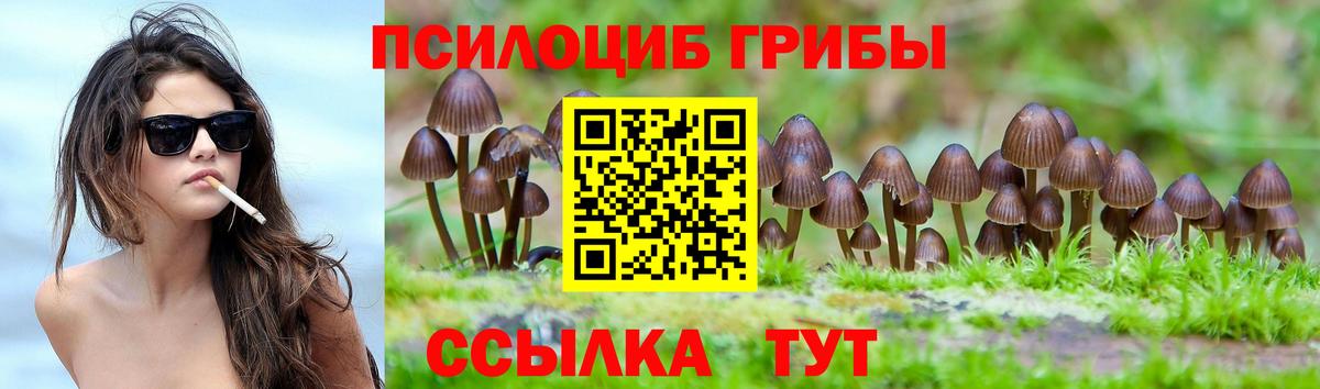 Галлюциногенные грибы Psilocybe Коряжма